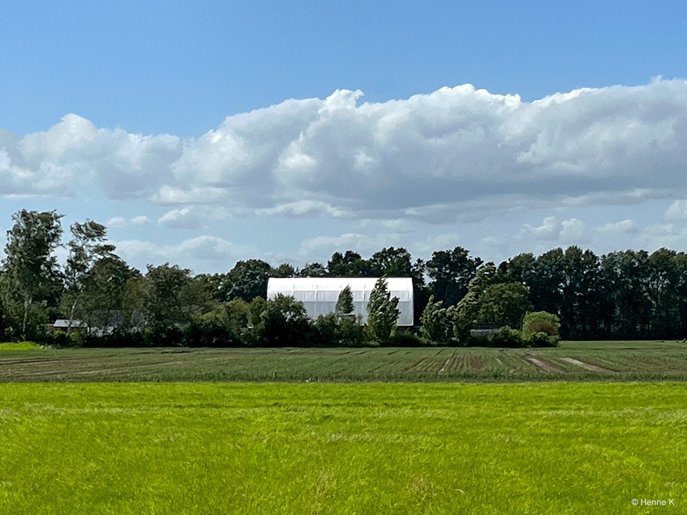 Vreemd