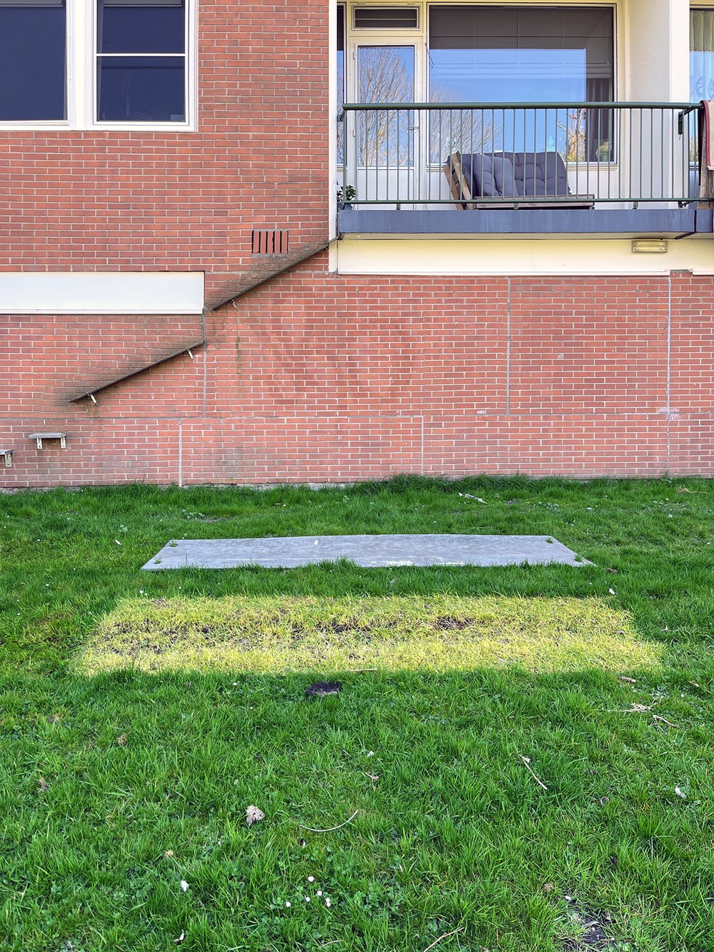 Verschoten gras