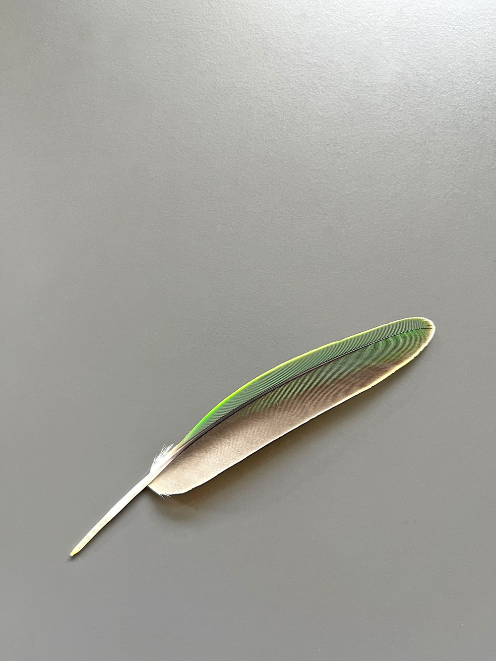 Groen veertje