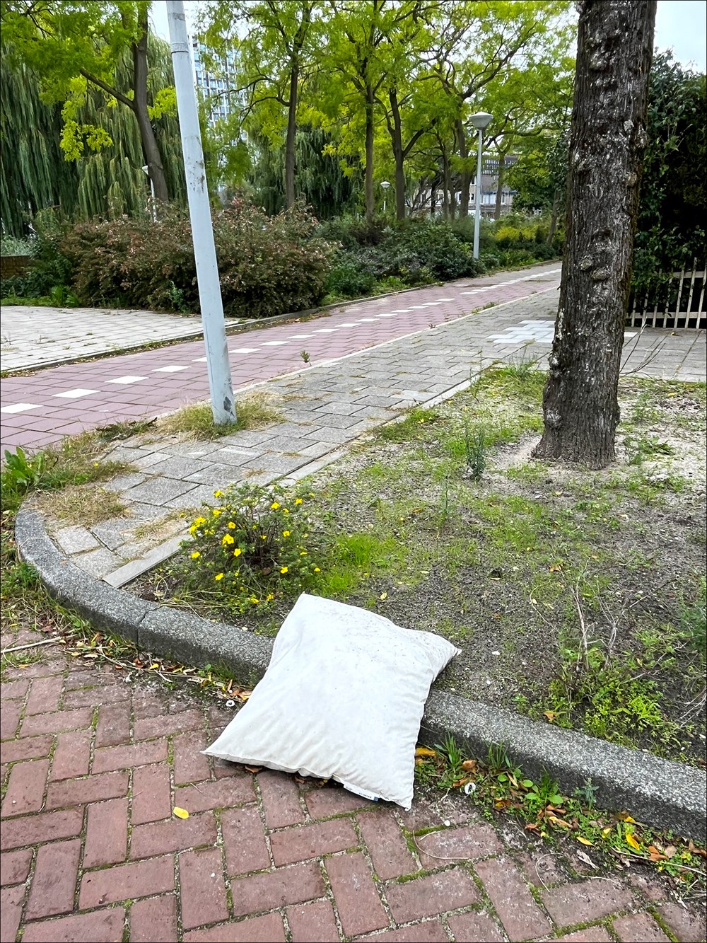 Kussentijd